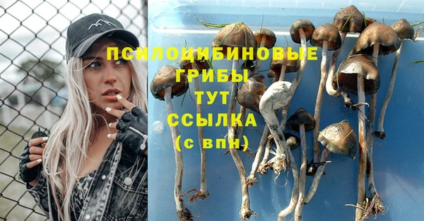 гашишное масло Сатка