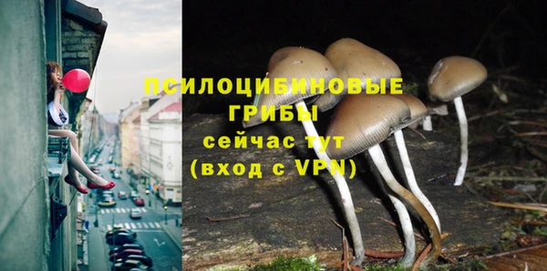 трава Сафоново
